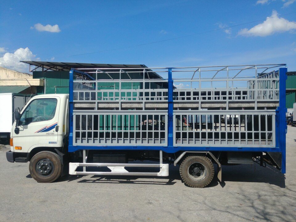 Xe tải HD700 Đồng Vàng chở lợn