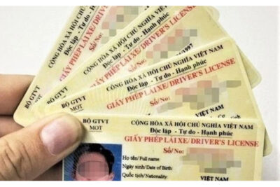 Giấy phép lái xe: Điều kiện, quy trình và lệ phí cần biết tại Việt Nam